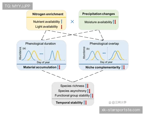帕尔默首季高光表现的持续性与稳定性分析