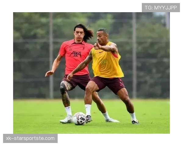 努涅斯生涯轨迹解析：从佩纳罗尔、本菲卡到英超